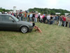 BMW-Treffen Radegast 14.06.2008